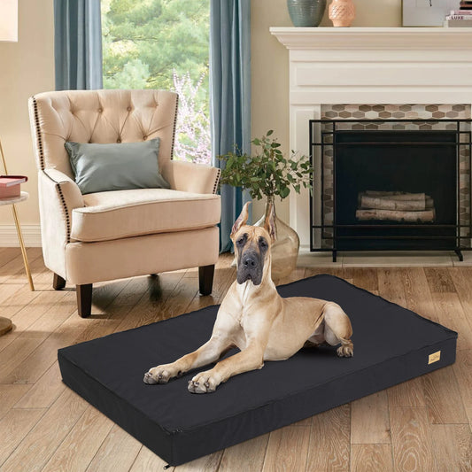 Bingopaw Washable Orthopedic Sponge Foam Dog Bed