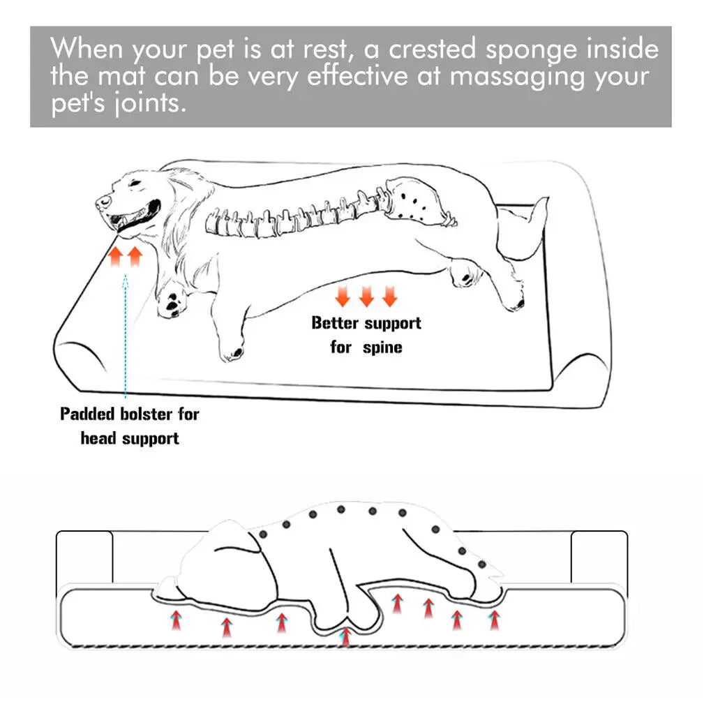 Bingopaw Orthopedic Extra Large Dog Bed With Washable Cotton Cover