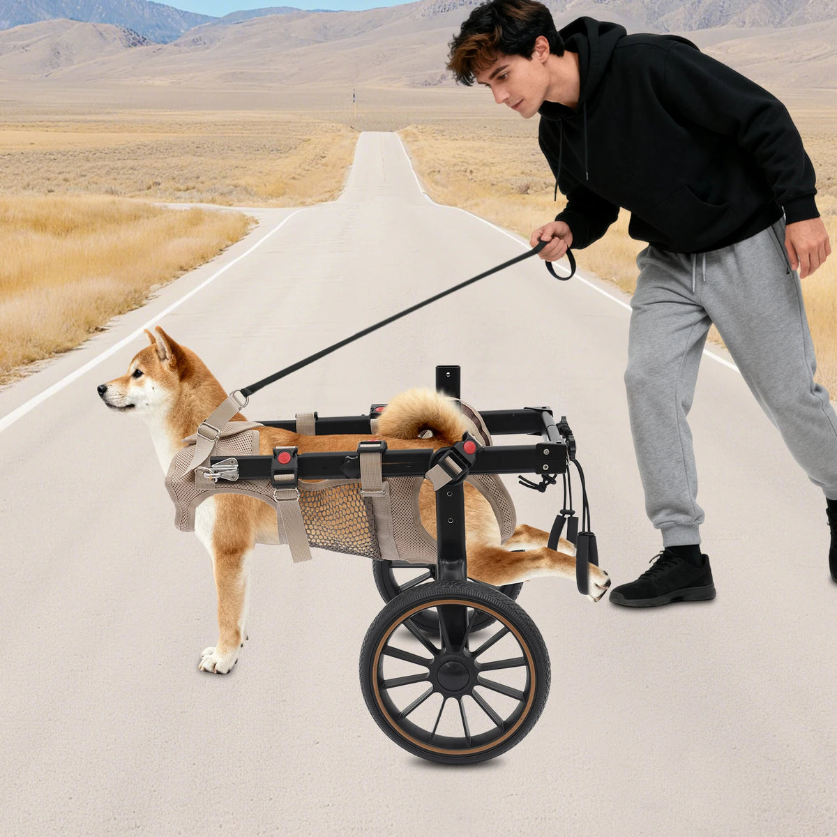 Bymaocar Adjustable Two Wheel Dog Wheelchair For Rehabilitation