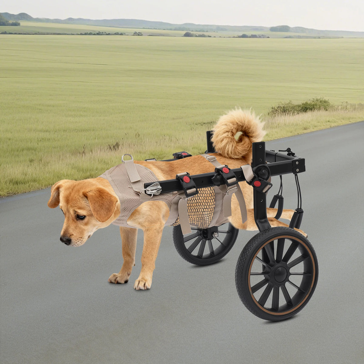 Bymaocar Adjustable Two Wheel Dog Wheelchair For Rehabilitation