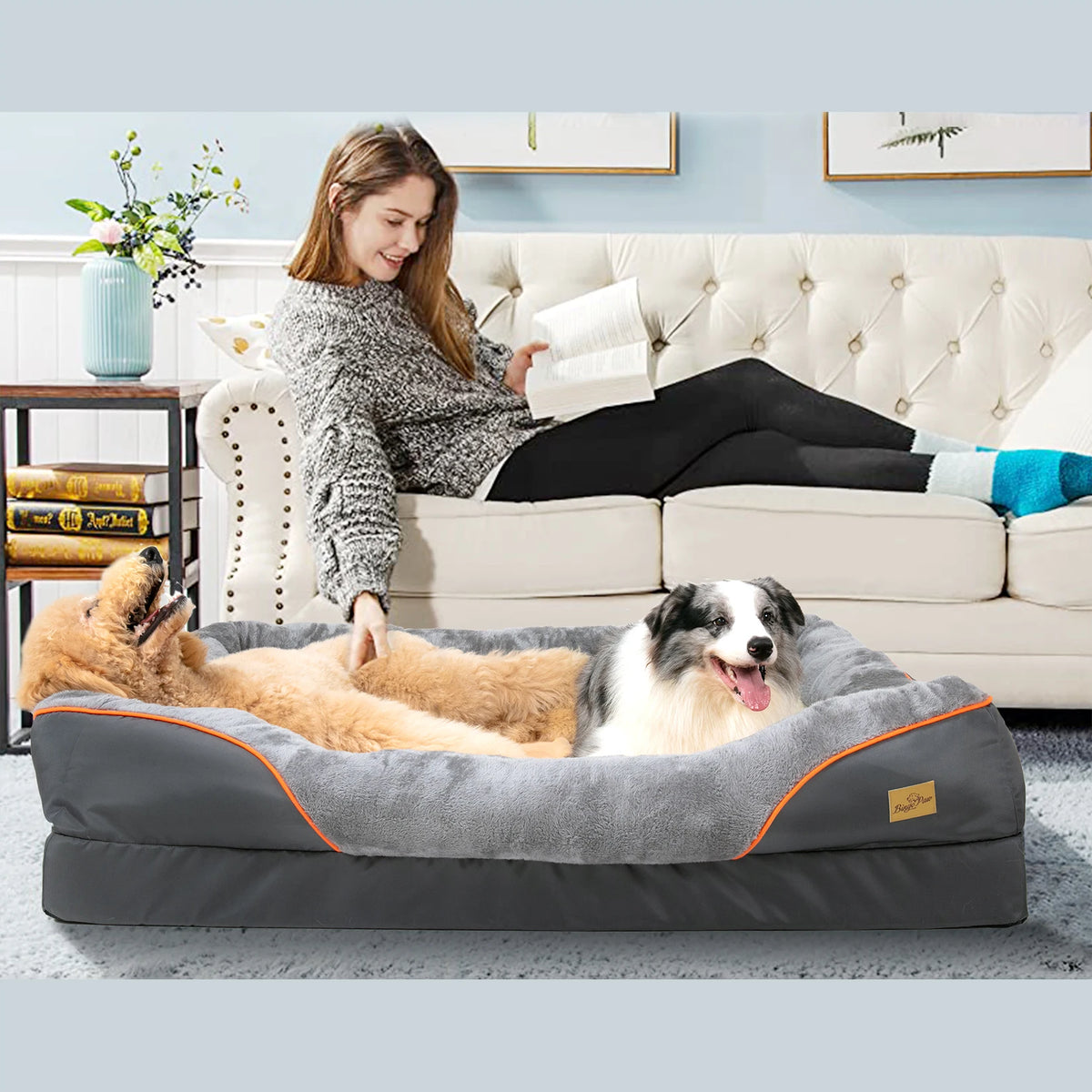 Bingopaw Removable Cover Waterproof Large Dog Bed