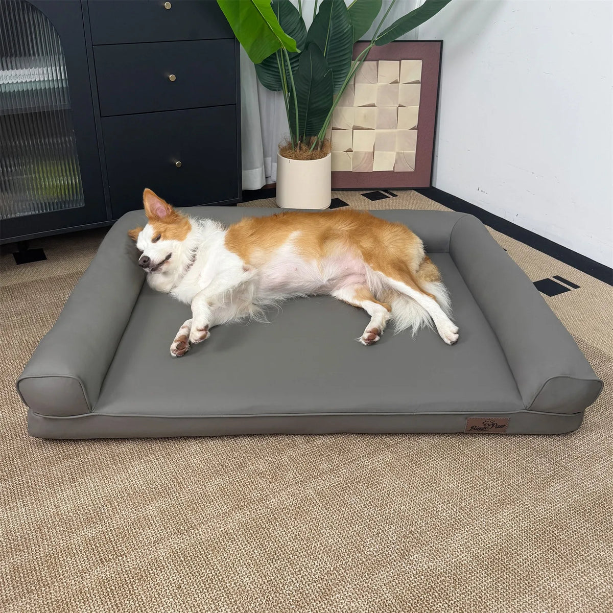 BORWART Extra Large Orthopedic Dog Bed Bolster Waterproof With Removable Cover