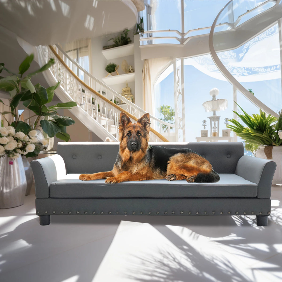 Bingopaw Elevated Dog Sofa Bed For Medium Large Pets