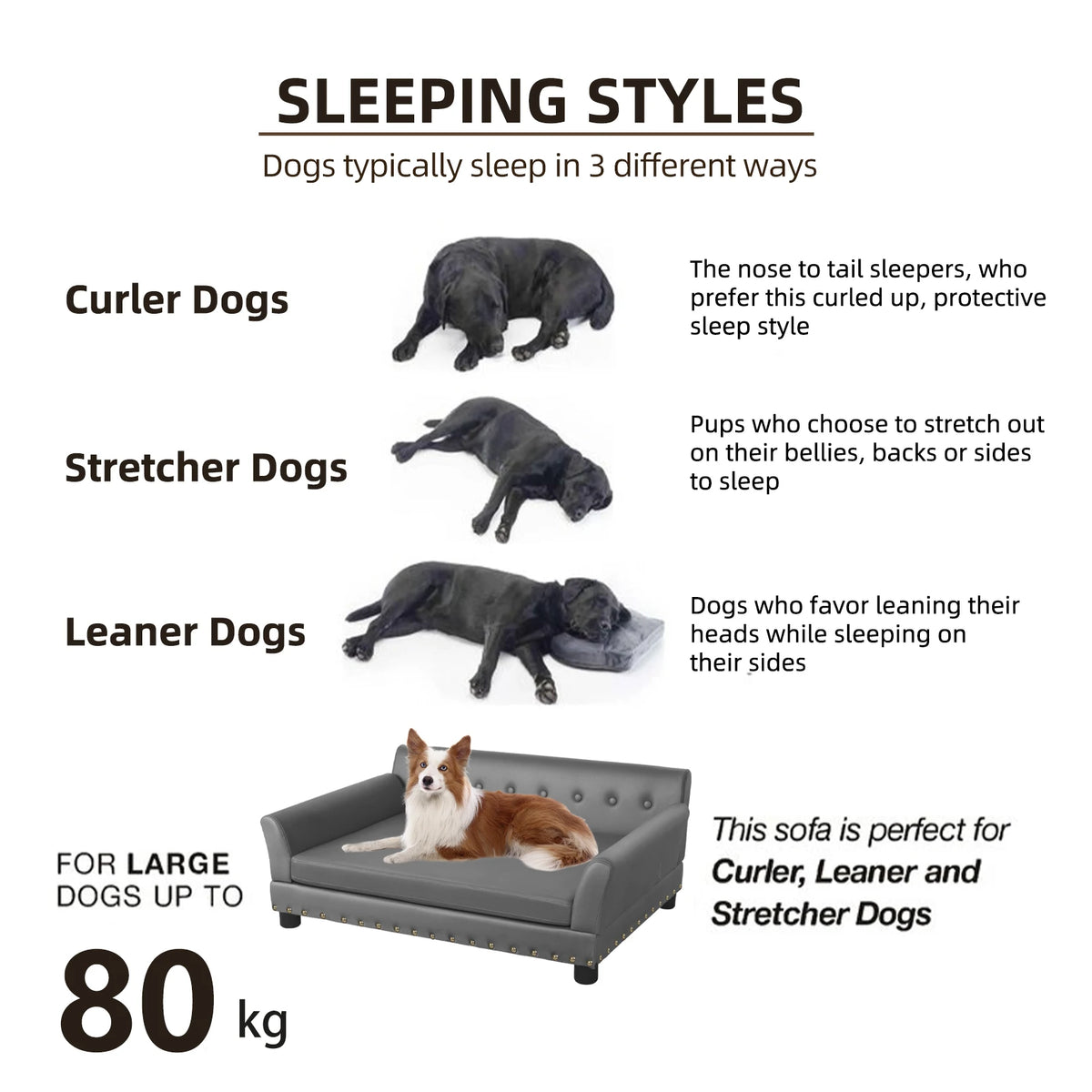 BINGOPAW Microfiber Leather Elevated Dog Sofa For Medium Large Pets