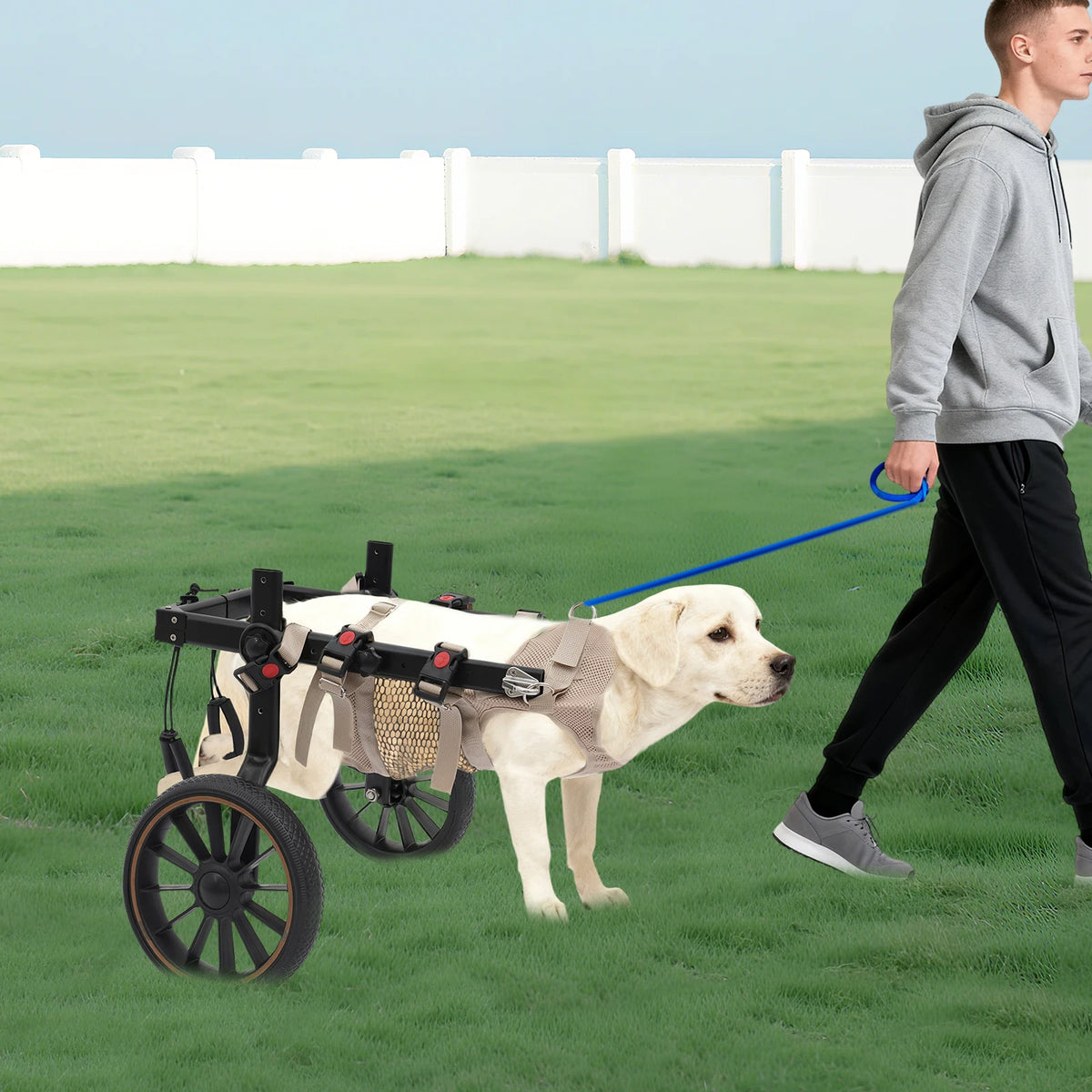 Bymaocar Adjustable Two Wheel Dog Wheelchair For Rehabilitation