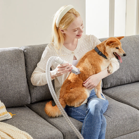 Sweetcrispy Professional Cordless Pet Grooming Vacuum Kit