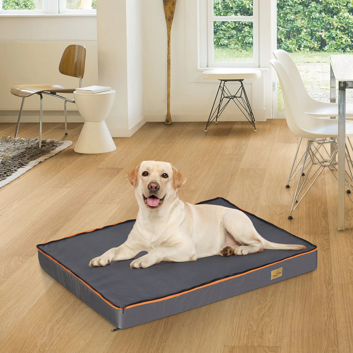 Bingopaw Large Padded Orthopedic Dog Bed With Washable Cover