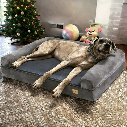 Borwart Orthopedic Memory Foam Calming Dog Bed With Removable Cover