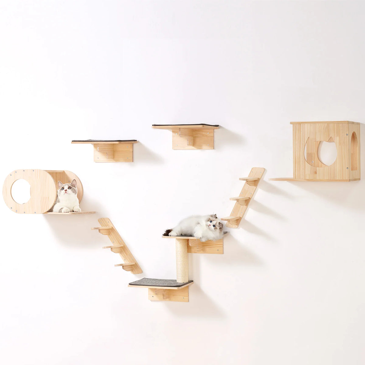 Succebuy Wall Mounted Cat Shelves Perches With Jumping Boards