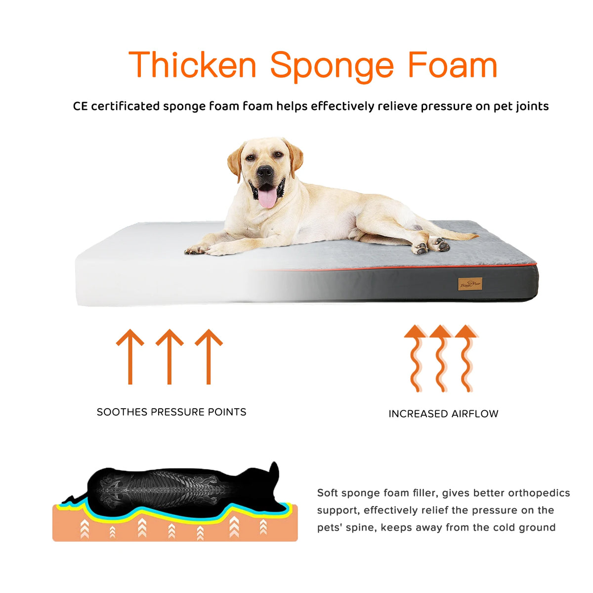 Bingopaw Large Padded Orthopedic Dog Bed With Washable Cover