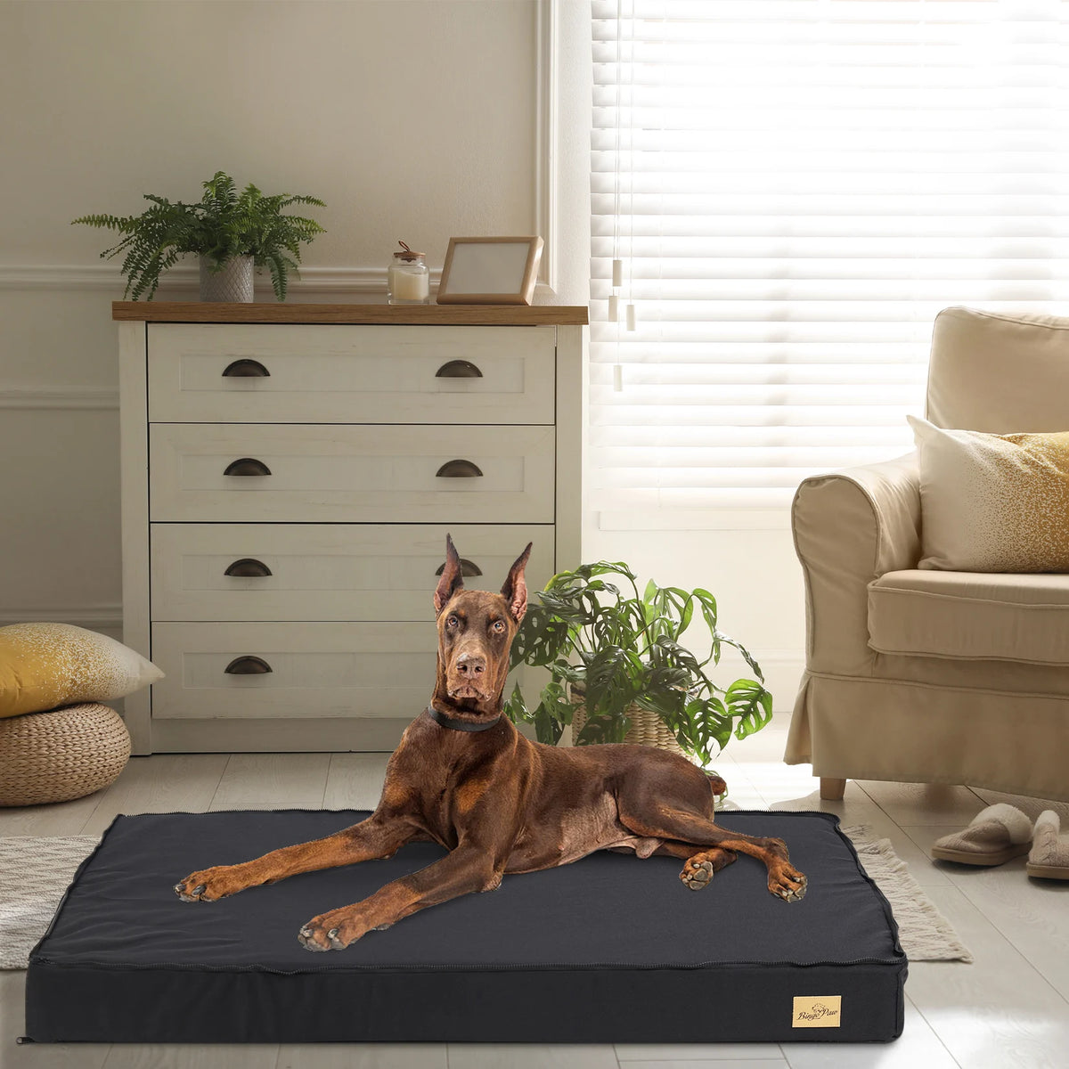 Bingopaw Washable Orthopedic Sponge Foam Dog Bed