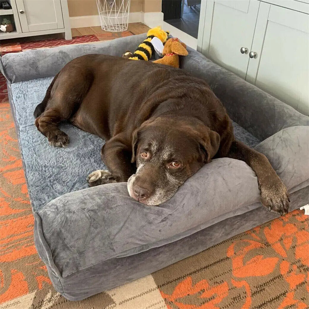 Bingopaw Orthopedic Extra Large Dog Bed With Washable Cotton Cover