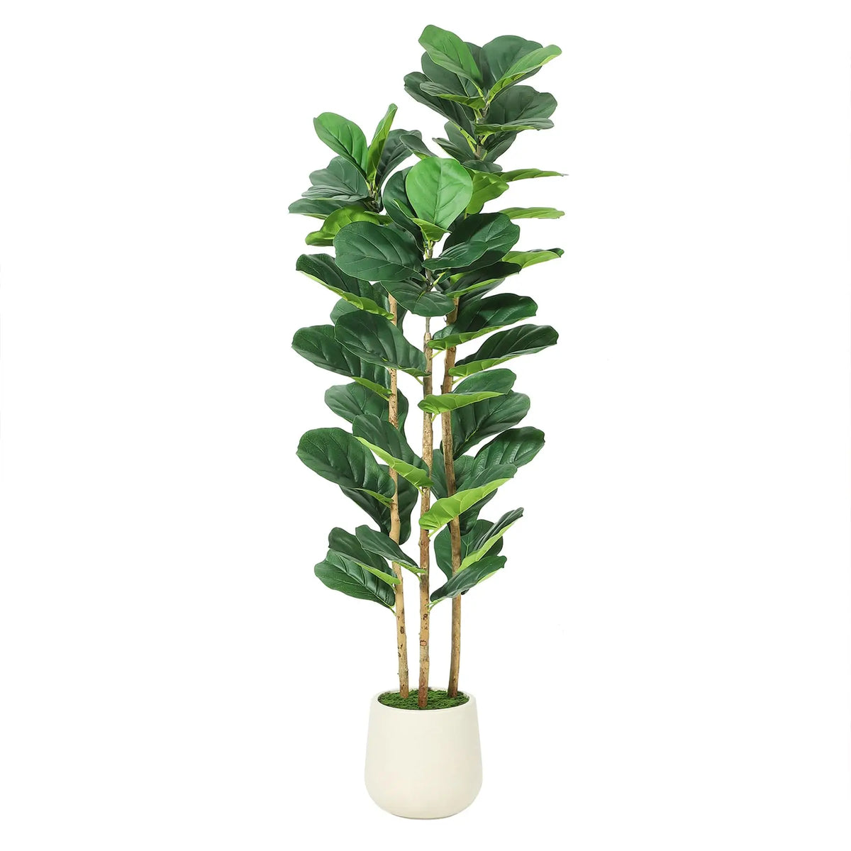 Artificial Fiddle Leaf Fig Tree White Planter Natural Wood Trunk Potted Moss