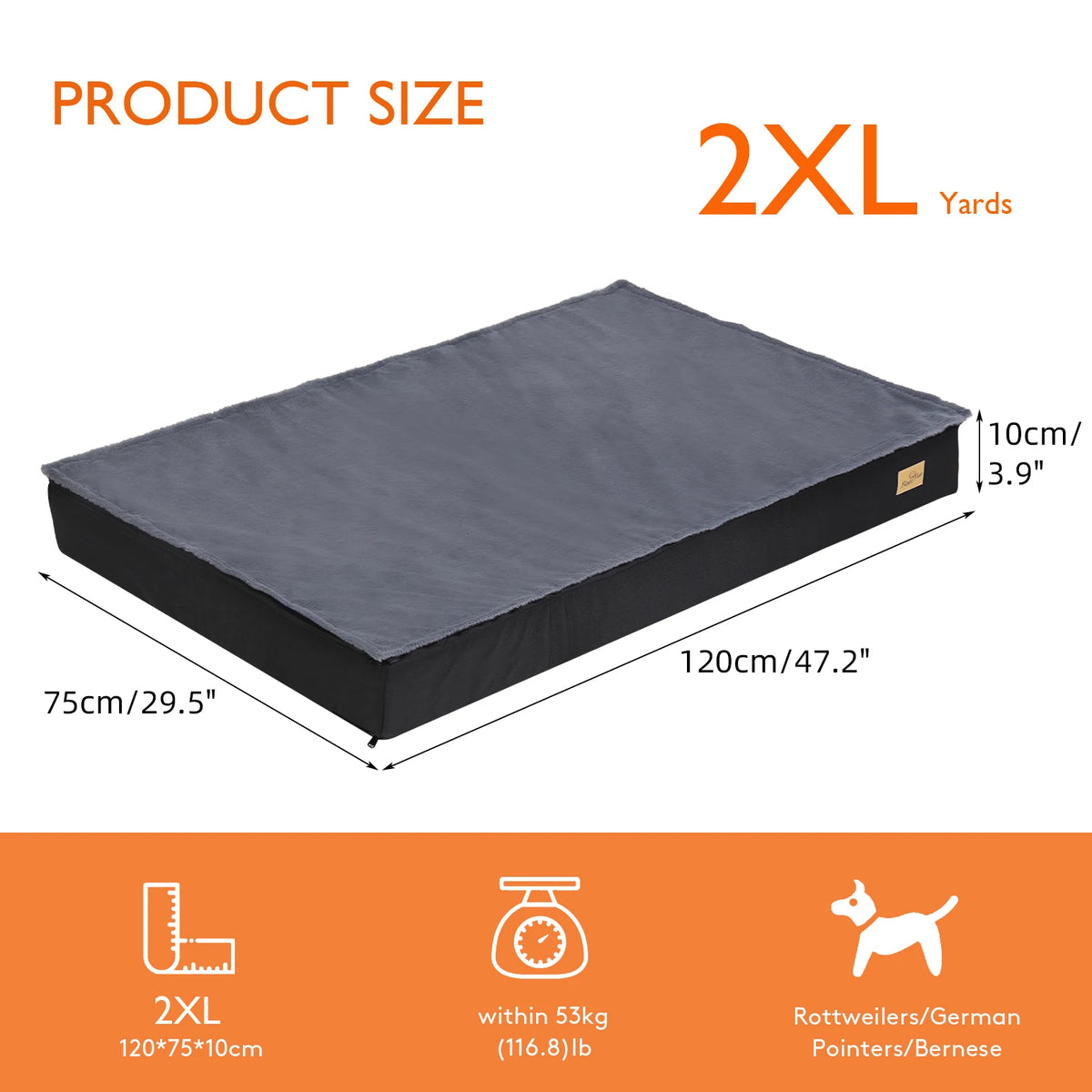 Bingopaw Washable Orthopedic Sponge Foam Dog Bed