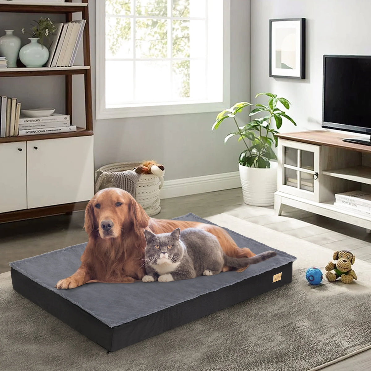 Bingopaw Washable Orthopedic Sponge Foam Dog Bed
