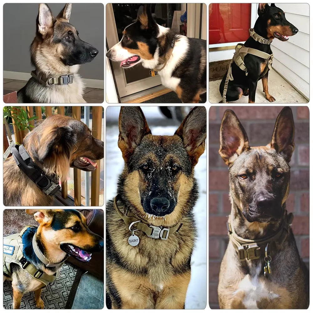 Adjustable Tactical Dog Harness And Collar Set For All Stages