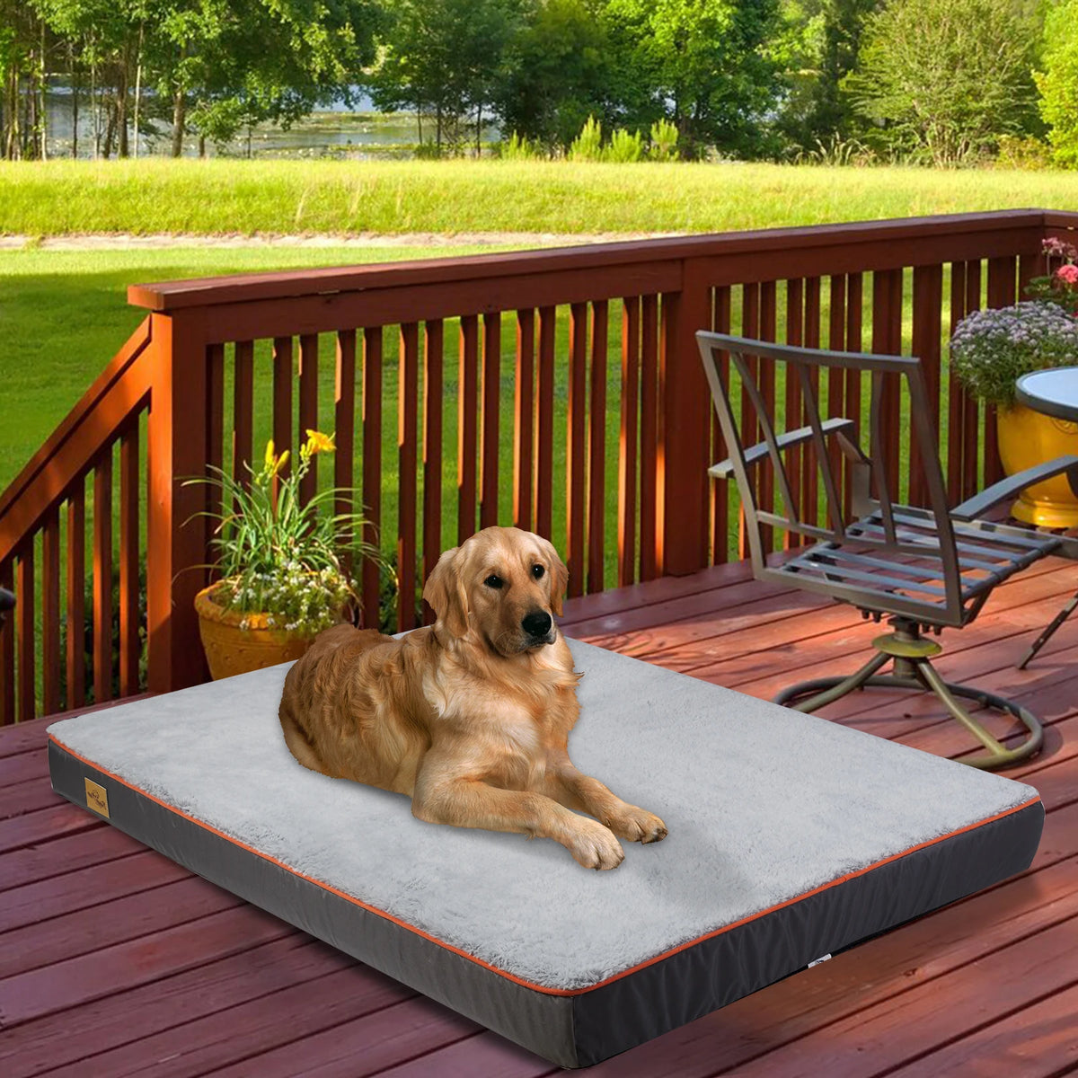 Bingopaw Large Padded Orthopedic Dog Bed With Washable Cover