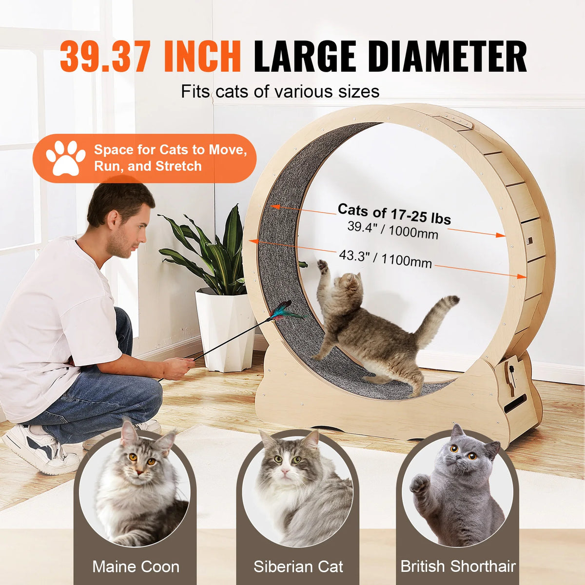 LARGE Wooden Cat Exercise Wheel Treadmill With Detachable Carpet