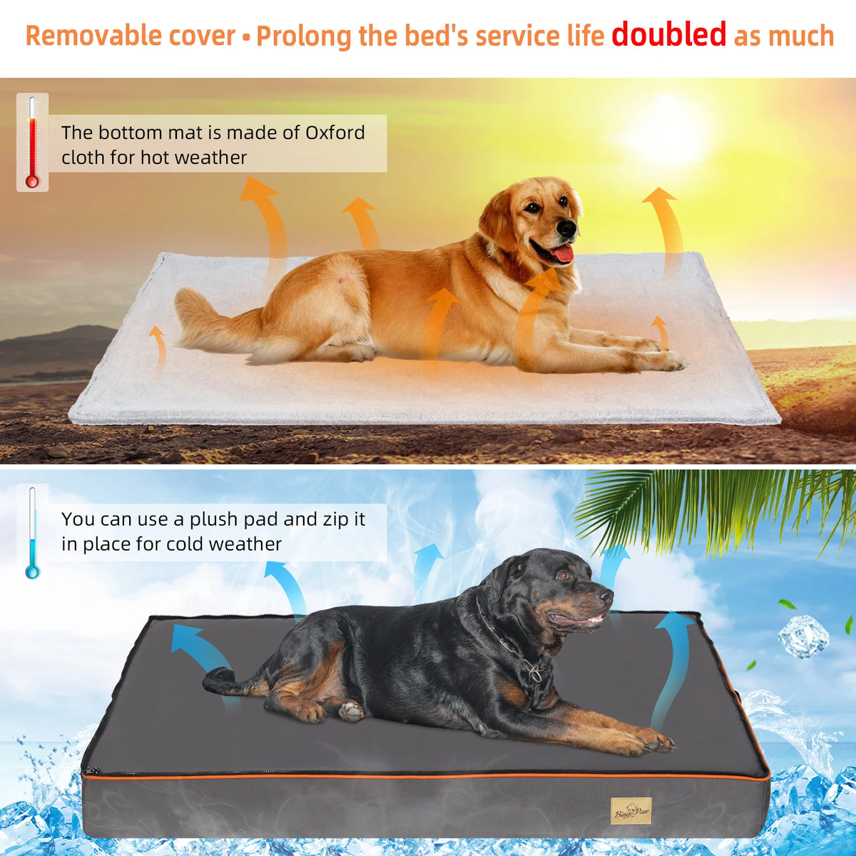 Bingopaw Large Padded Orthopedic Dog Bed With Washable Cover
