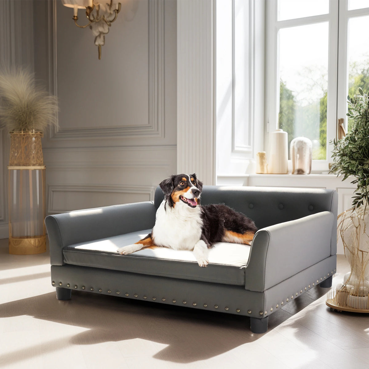 Bingopaw Elevated Dog Sofa Bed For Medium Large Pets