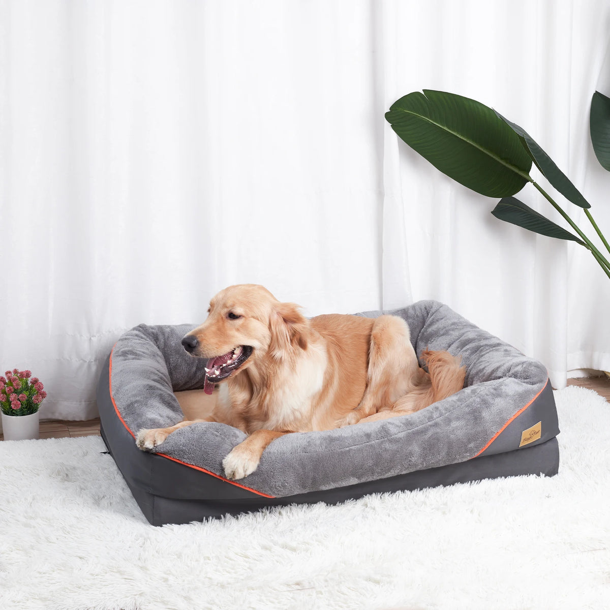 Bingopaw Removable Cover Waterproof Large Dog Bed