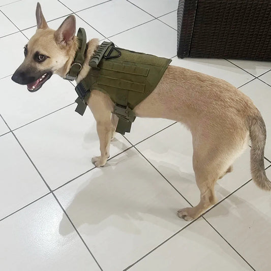 Adjustable Tactical Dog Harness And Collar Set For All Stages