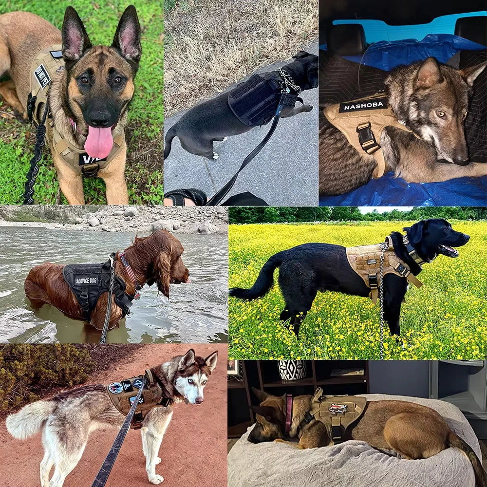 Adjustable Tactical Dog Harness Collar And Leash Set