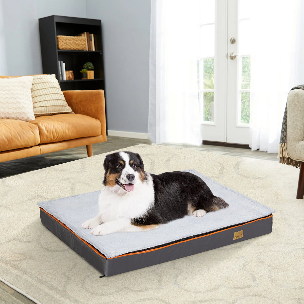 Bingopaw Large Padded Orthopedic Dog Bed With Washable Cover